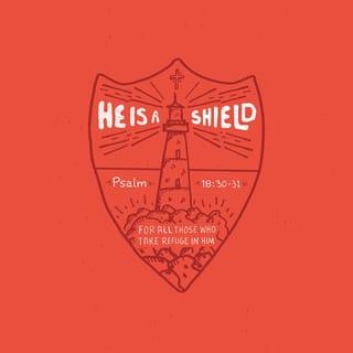 Psalm 18:30 - This God—his way is perfect;
the word of the LORD proves true;
he is a shield for all those who take refuge in him.