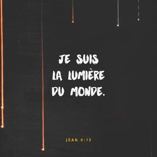 Jean 8:12 - Jésus leur parla de nouveau, et dit: Je suis la lumière du monde; celui qui me suit ne marchera pas dans les ténèbres, mais il aura la lumière de la vie.