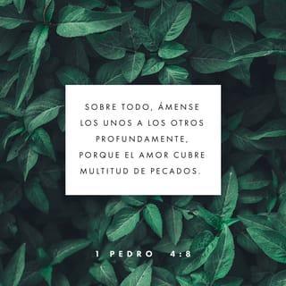 1 Pedro 4:8 RVR1960