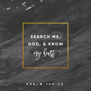 Psalms 139:23-24 - Search me, God, and know my heart;
test me and know my anxious thoughts.
See if there is any offensive way in me,
and lead me in the way everlasting.