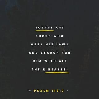 Psalms 119:2 - Joyful are those who obey his laws
and search for him with all their hearts.
