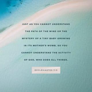 Ecclesiastes 11:5 NCV