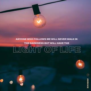 John 8:12 - Jesus spoke to them again: “I am the light of the world. Anyone who follows me will never walk in the darkness but will have the light of life.”