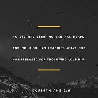 1 Corinthians 2:9 - But this is precisely what is written: “ God has prepared things for those who love him that no eye has seen, or ear has heard, or that haven’t crossed the mind of any human being ”.