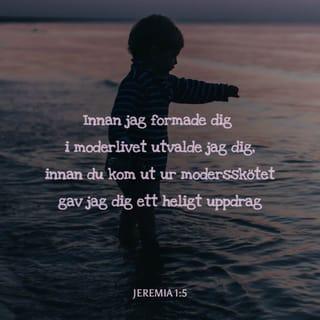 Jeremia 1:5 B2000