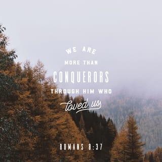 Romans 8:37 - Yet in all these things we are more than conquerors through Him who loved us.