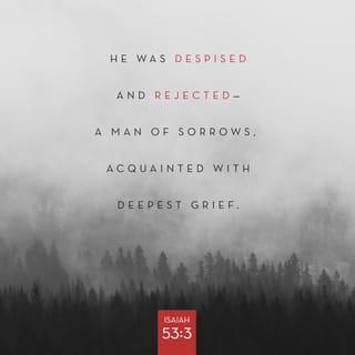 Isaiah 53:3 - He was despised and rejected and forsaken by men, a Man of sorrows and pains, and acquainted with grief and sickness; and like One from Whom men hide their faces He was despised, and we did not appreciate His worth or have any esteem for Him.