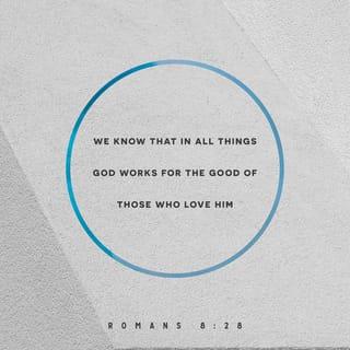 Romans 8:28 - We are assured and know that [God being a partner in their labor] all things work together and are [fitting into a plan] for good to and for those who love God and are called according to [His] design and purpose.