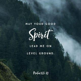 Psalm 143:10 - Teach me to do your will,
for you are my God!
Let your good Spirit lead me
on level ground!
