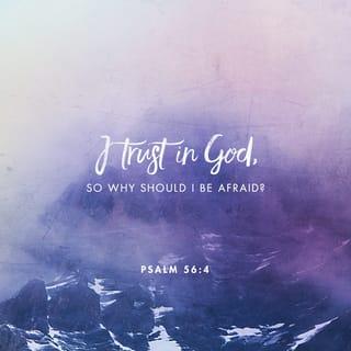 Psalms 56:3-4 - But when I am afraid,
I will put my trust in you.
I praise God for what he has promised.
I trust in God, so why should I be afraid?
What can mere mortals do to me?