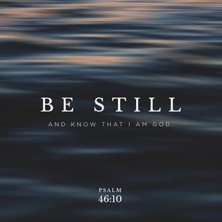Psalms 46:10 - “Be still, and know that I am God!
I will be honored by every nation.
I will be honored throughout the world.”
