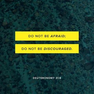 Deuteronomy 31:8 - Do not be afraid or discouraged, for the LORD will personally go ahead of you. He will be with you; he will neither fail you nor abandon you.”