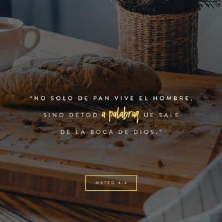 San Mateo 4:4 - Jesús respondió: «Escrito está: “No solo de pan vive el hombre, sino de toda palabra que sale de la boca de Dios.”»