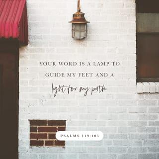 Psalms 119:105 - Your word is a lamp for my feet,
a light on my path.