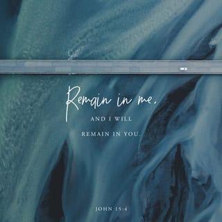 John 15:4 - Remain in me, as I also remain in you. No branch can bear fruit by itself; it must remain in the vine. Neither can you bear fruit unless you remain in me.