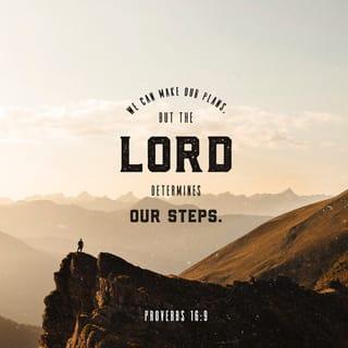 Proverbs 16:9 - A man’s mind plans his way [as he journeys through life],
But the LORD directs his steps and establishes them. [Ps 37:23; Prov 20:24; Jer 10:23]