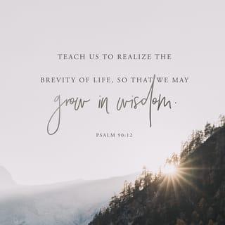 Psalm 90:12 - So teach us to number our days
that we may get a heart of wisdom.