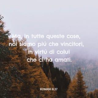 Lettera ai Romani 8:37 NR06