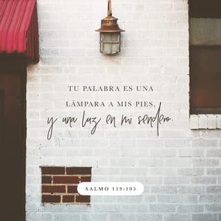 Salmos 119:105 - Tu palabra es una lámpara
que alumbra mi camino.