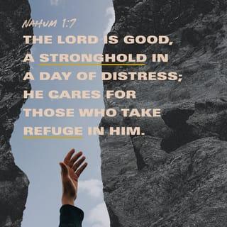Nahum 1:7 - The LORD is good,
a stronghold in a day of distress;
he cares for those who take refuge in him.