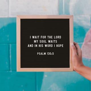 Psalms 130:5 - I wait for the LORD; I wait
and put my hope in his word.