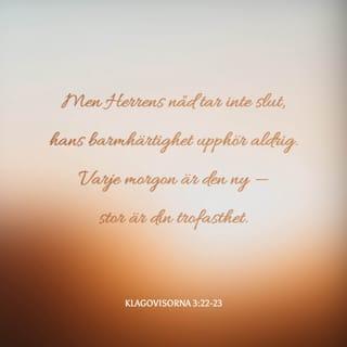 Klagovisorna 3:22-23 - Men Herrens nåd tar inte slut,
hans barmhärtighet upphör aldrig.
Varje morgon är den ny —
stor är din trofasthet.