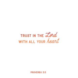 Proverbs 3:5-6 - Trust in the LORD with all your heart,
And lean not on your own understanding;
In all your ways acknowledge Him,
And He shall direct your paths.