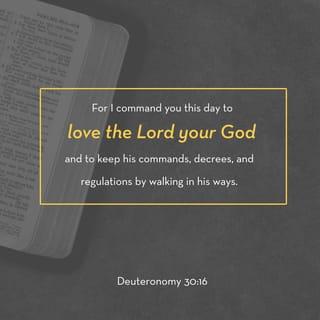 Deuteronomy 30:15-16 - “See, I have set before you today life and good, death and evil. If you obey the commandments of the LORD your God that I command you today, by loving the LORD your God, by walking in his ways, and by keeping his commandments and his statutes and his rules, then you shall live and multiply, and the LORD your God will bless you in the land that you are entering to take possession of it.