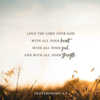 Deuteronomy 6:5 - You shall love the LORD your God with all your heart and mind and with all your soul and with all your strength [your entire being].
