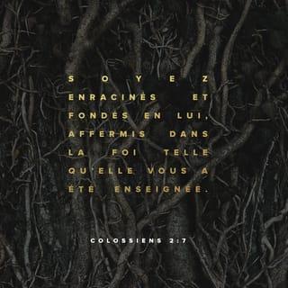 Colossiens 2:6-8 PDV2017
