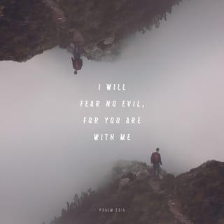 Psalm 23:4 - Even though I walk through the valley of the shadow of death,
I will fear no evil,
for you are with me;
your rod and your staff,
they comfort me.