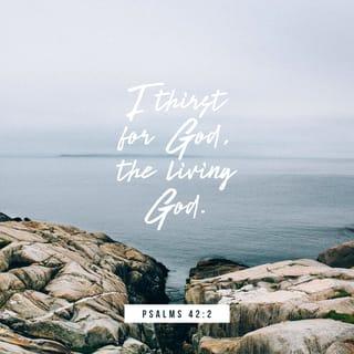 Psalms 42:2 - I thirst for God, the living God.
When can I go and stand before him?