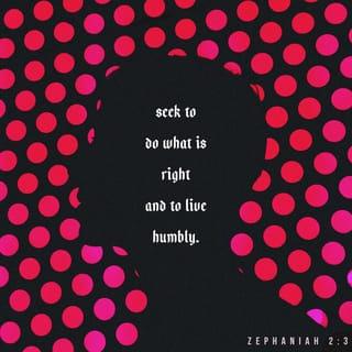 Zephaniah 2:3 - Seek the LORD, all who are humble,
and follow his commands.
Seek to do what is right
and to live humbly.
Perhaps even yet the LORD will protect you—
protect you from his anger on that day of destruction.
