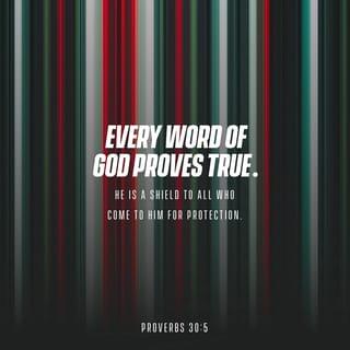 Proverbs 30:5 - Every word of God is pure:
He is a shield unto them that put their trust in him.