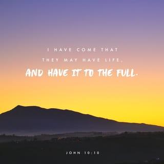 John 10:10 - The thief comes only in order to steal, kill, and destroy. I have come in order that you might have life — life in all its fullness.