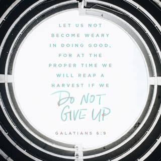 Galatians 6:9 - Let’s not get tired of doing good, because in time we’ll have a harvest if we don’t give up.