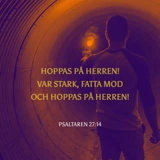 Psaltaren 27:14 B2000