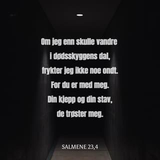 Salmene 23:4 NB