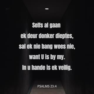 PSALMS 23:4 AFR83