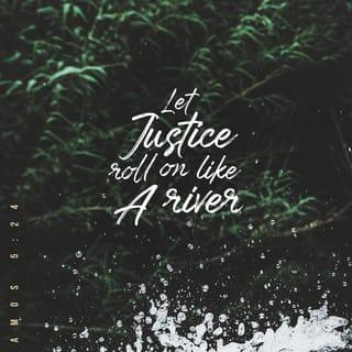Amos 5:24 - Instead, I want to see a mighty flood of justice,
an endless river of righteous living.