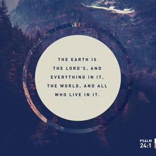 Psalms 24:1 - The earth is the LORD’s, and all its fullness,
The world and those who dwell therein.