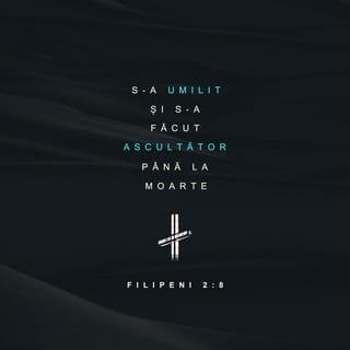 Filipeni 2:8 VDC