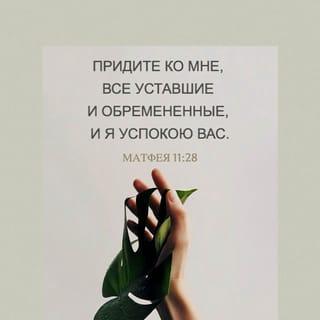 От Матфея святое благовествование 11:27-30 SYNO