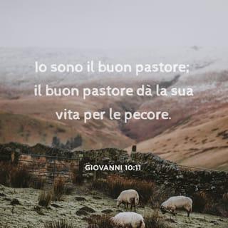 Vangelo secondo Giovanni 10:11 - Io sono il buon pastore; il buon pastore dà la sua vita per le pecore.