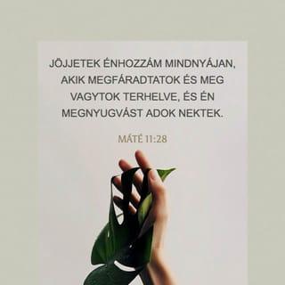 Máté 11:28 HUNK