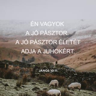 János 10:10-11 - A tolvaj nem egyébért jő, hanem hogy lopjon és öljön és pusztítson; én azért jöttem, hogy életök legyen, és bővölködjenek. Én vagyok a jó pásztor: a jó pásztor életét adja a juhokért.