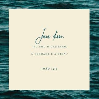 João 14:6 NTLH