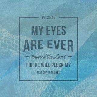 Psalm 25:15 - Mine eyes are ever toward the LORD;
For he shall pluck my feet out of the net.