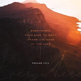 Psalms 113:1-3 - Hallelujah!
You who serve GOD, praise GOD!
Just to speak his name is praise!
Just to remember GOD is a blessing—
now and tomorrow and always.
From east to west, from dawn to dusk,
keep lifting all your praises to GOD!