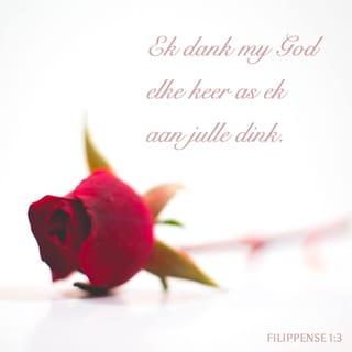FILIPPENSE 1:3 - Ek dank my God elke keer as ek aan julle dink.